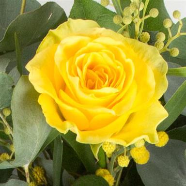 Dozen Long Stemmed Yellow Roses Mrs Florist Tunbridge Wells