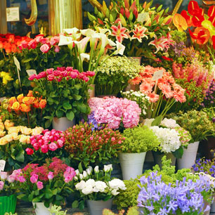 About - Mrs Florist Tunbridge Wells